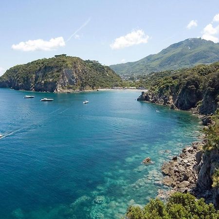 Pet Friendly Home In Ischia With Wifi Esterno foto