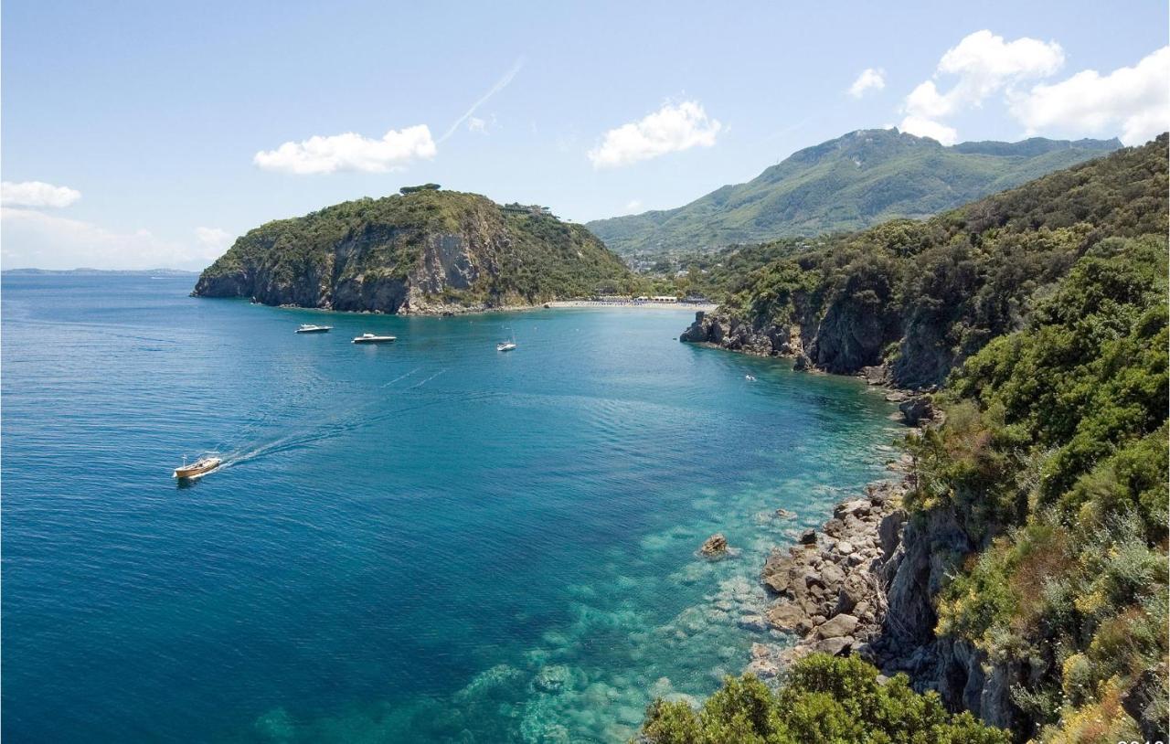 Pet Friendly Home In Ischia With Wifi Esterno foto